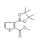 methyl3-(4,4,5,5-tetramethyl-1,3,2-dioxaborolan-2-yl)thiophene-2-carboxylate